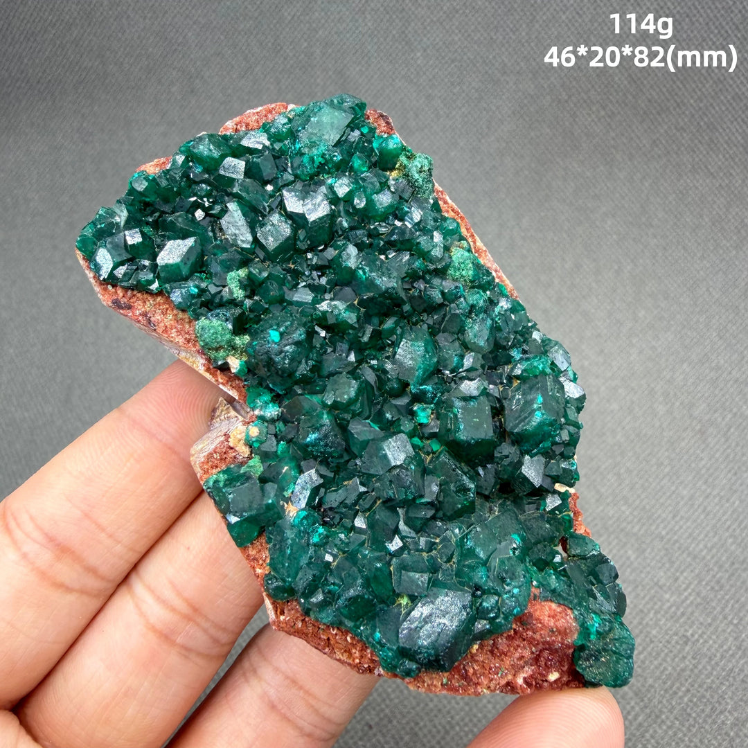Dioptase Crystal Cluster Specimen