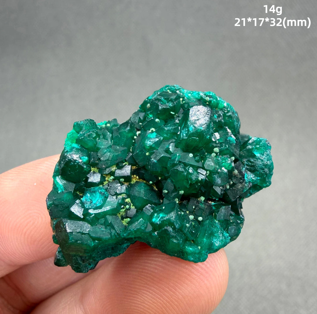 Dioptase Crystal Cluster Specimen