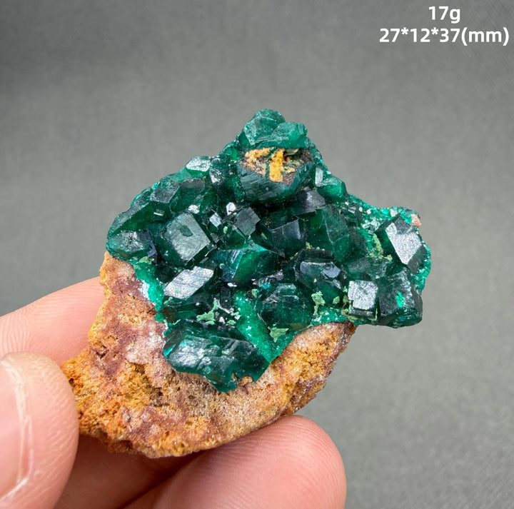 Dioptase Crystal Cluster Specimen