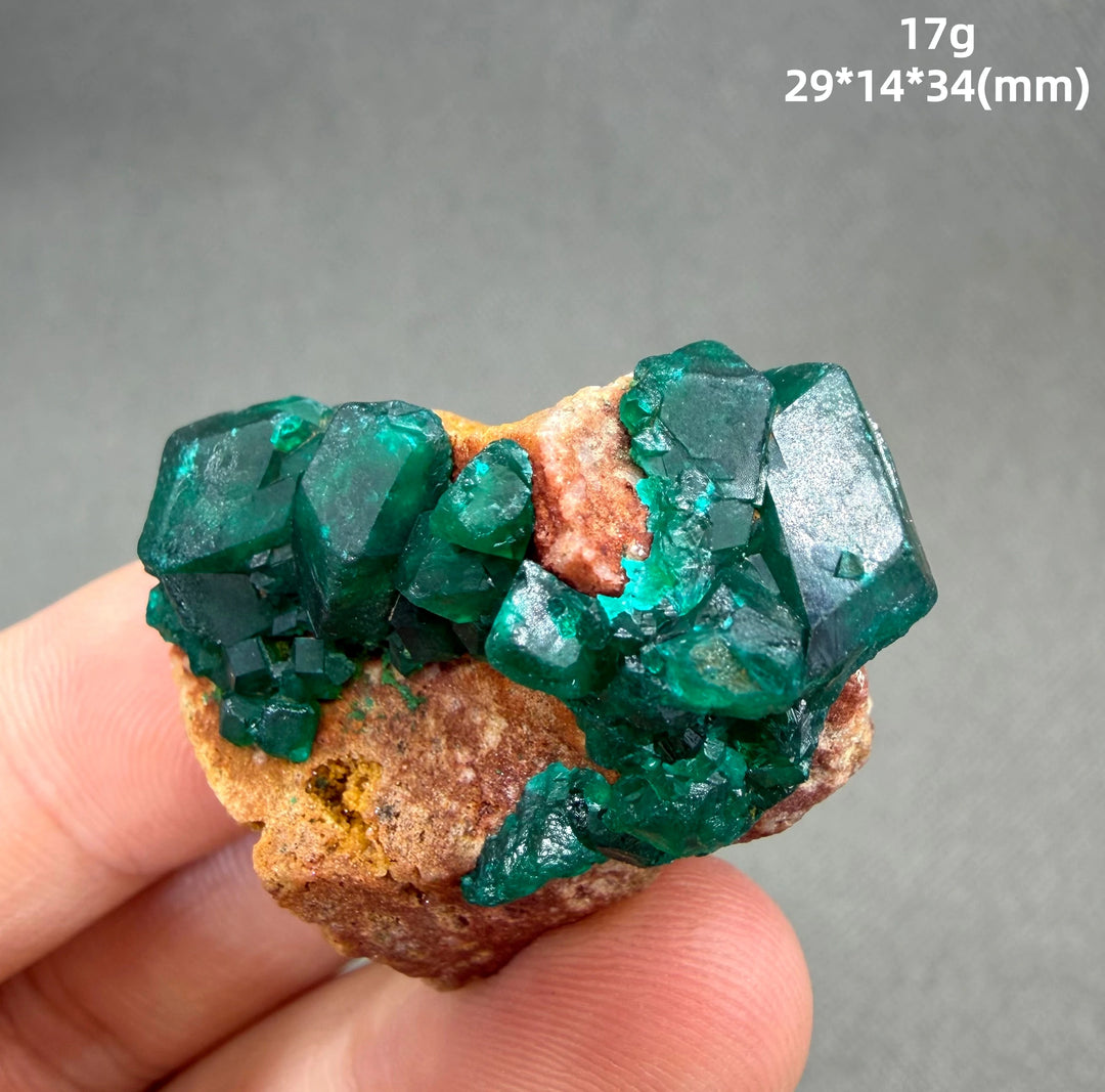 Dioptase Crystal Cluster Specimen