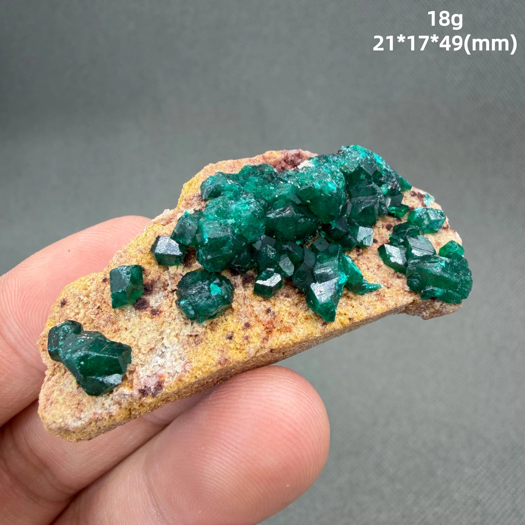 Dioptase Crystal Cluster Specimen