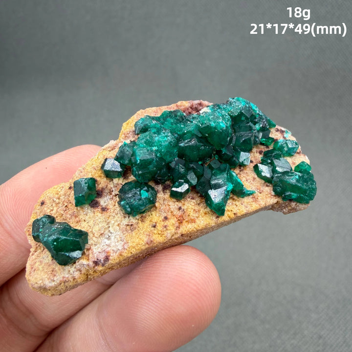 Dioptase Crystal Cluster Specimen