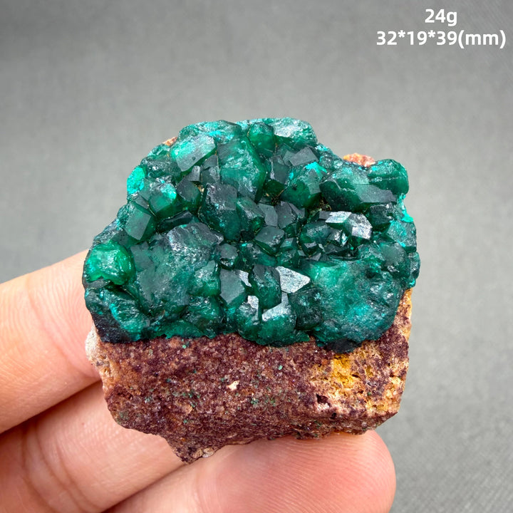 Dioptase Crystal Cluster Specimen