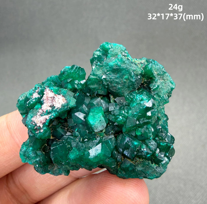 Dioptase Crystal Cluster Specimen