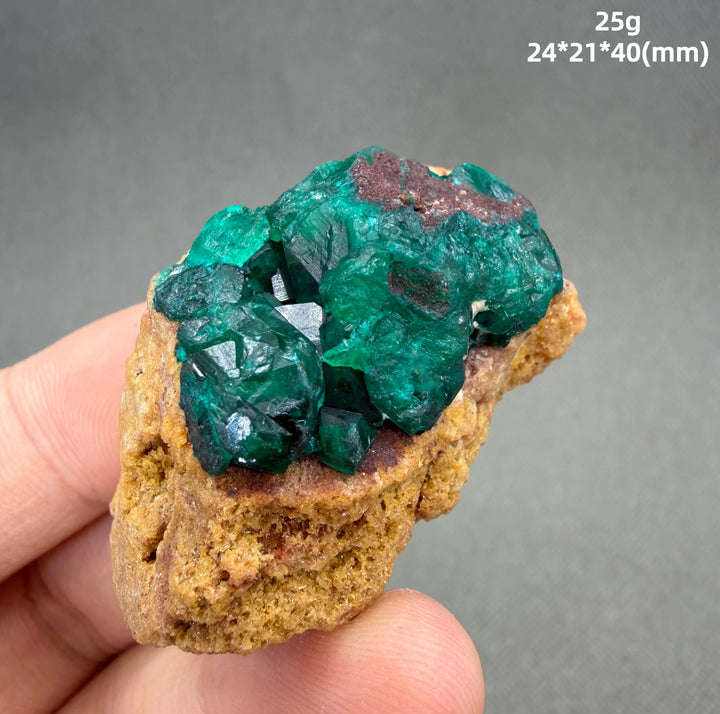 Dioptase Crystal Cluster Specimen