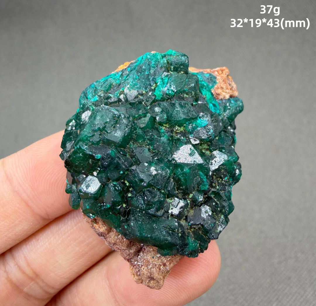 Dioptase Crystal Cluster Specimen