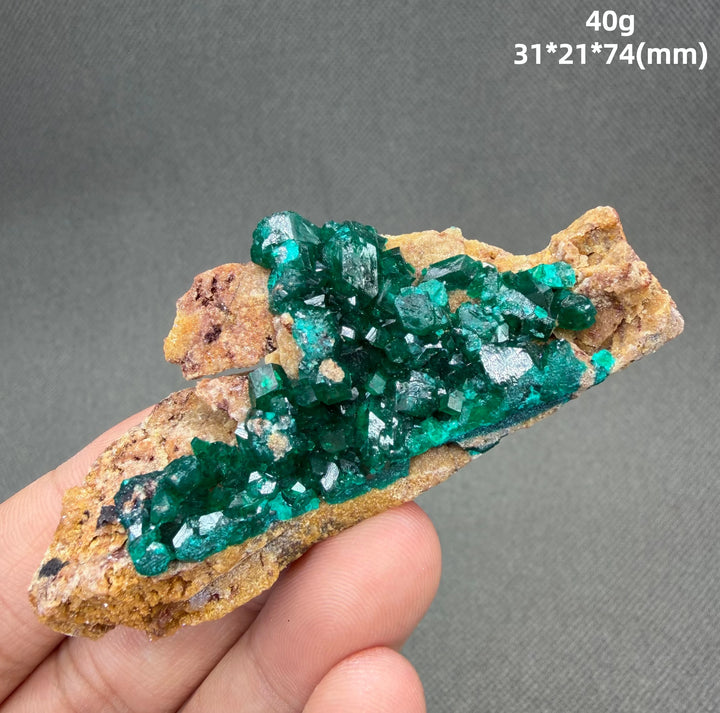 Dioptase Crystal Cluster Specimen