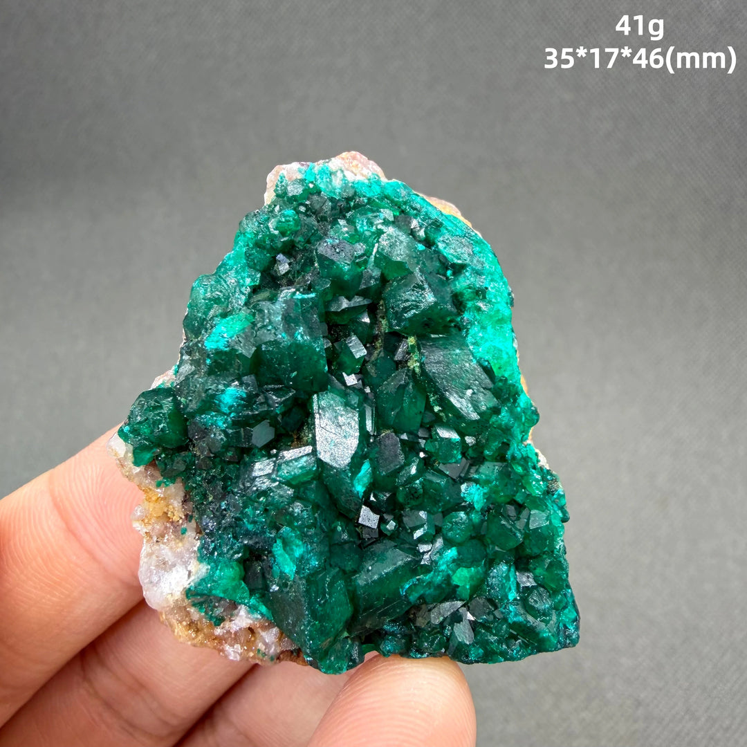 Dioptase Crystal Cluster Specimen