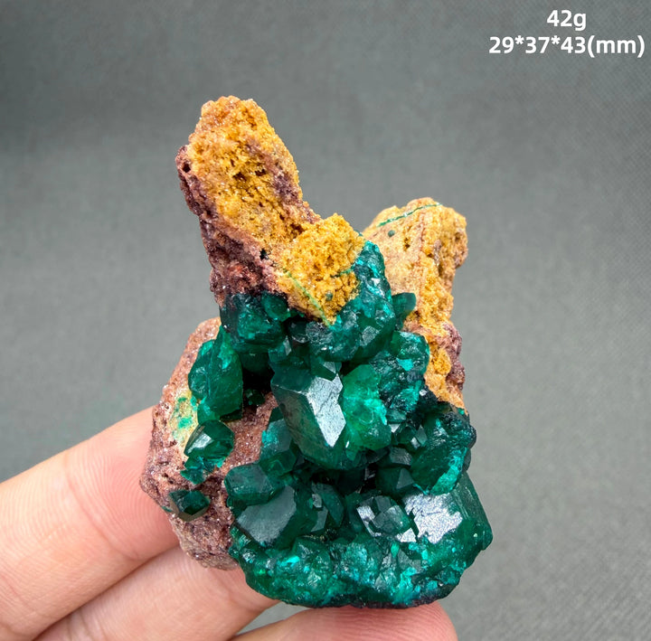 Dioptase Crystal Cluster Specimen