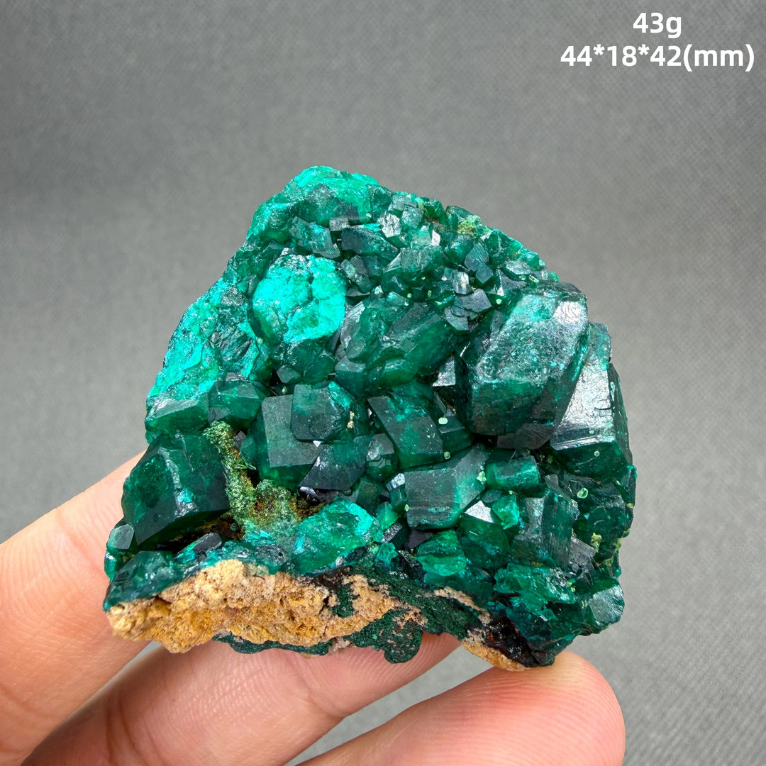 Dioptase Crystal Cluster Specimen