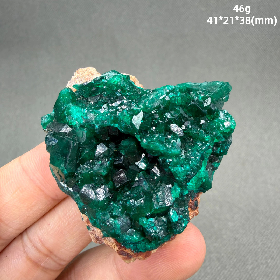 Dioptase Crystal Cluster Specimen