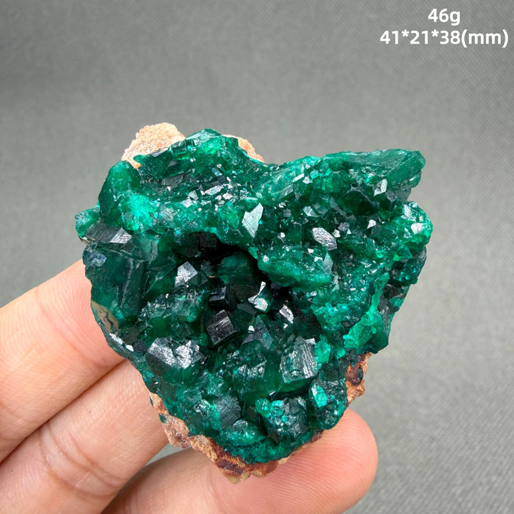 Dioptase Crystal Cluster Specimen