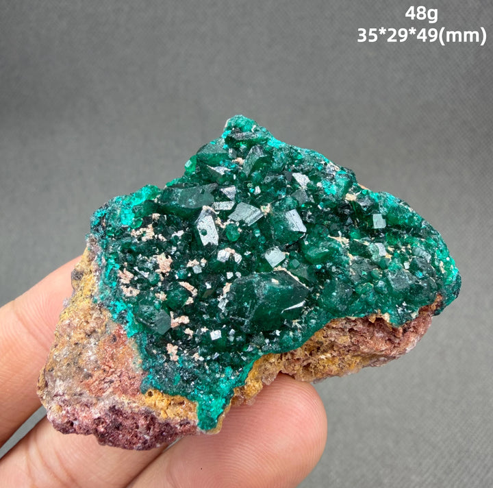 Dioptase Crystal Cluster Specimen