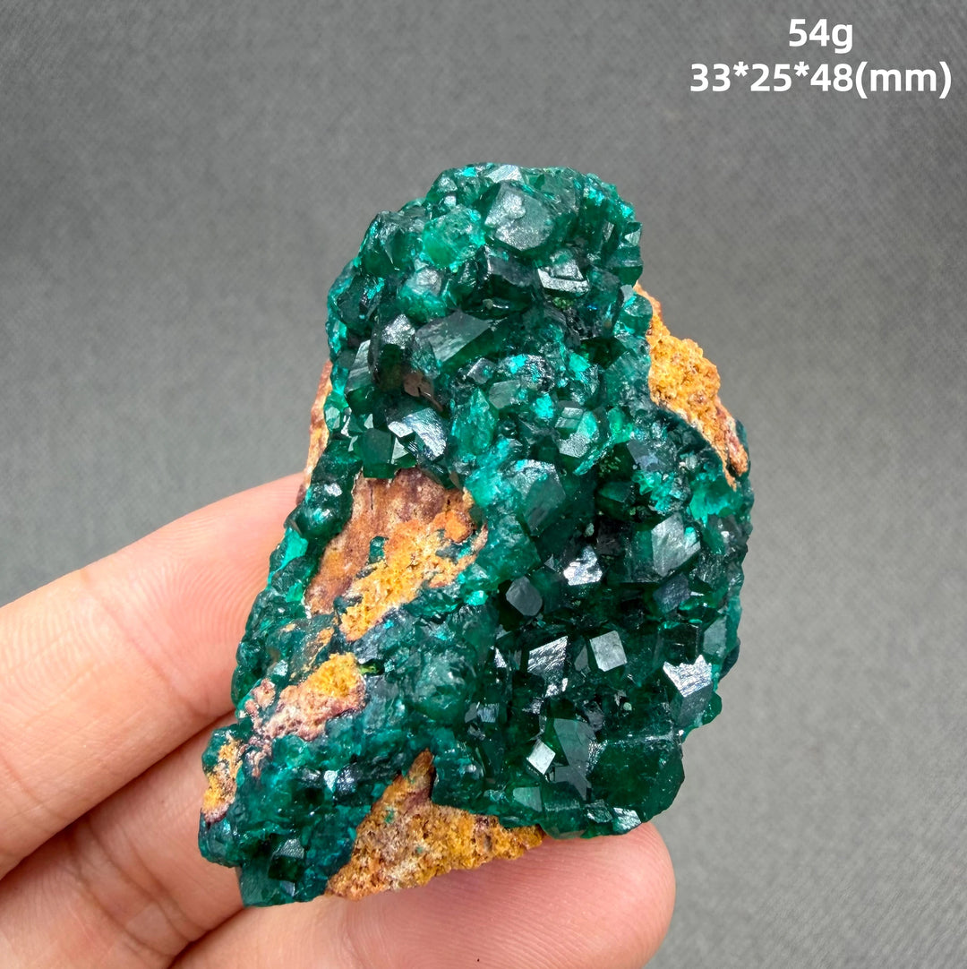 Dioptase Crystal Cluster Specimen