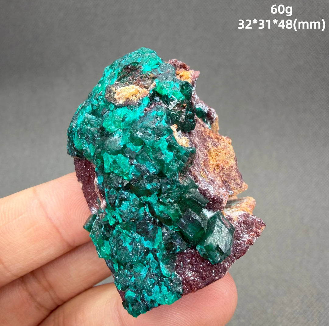 Dioptase Crystal Cluster Specimen