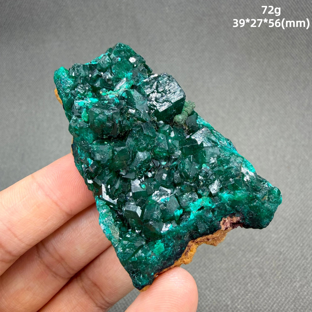 Dioptase Crystal Cluster Specimen
