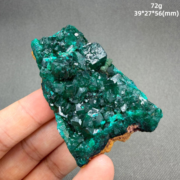Dioptase Crystal Cluster Specimen