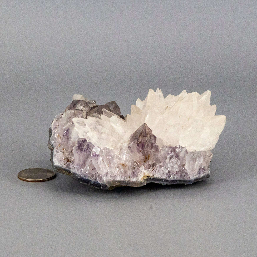 Dogtooth Calcite "Flower" Amethyst Cluster-Clusters-Crystal Destiny-Amethyst / Dogtooth Calcite-678g - 4.50"L x 3.50" W x 2.25"T-Crystal Destiny