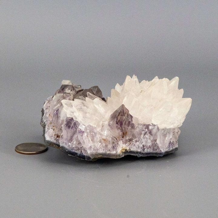 Dogtooth Calcite "Flower" Amethyst Cluster-Clusters-Crystal Destiny-Amethyst / Dogtooth Calcite-678g - 4.50"L x 3.50" W x 2.25"T-Crystal Destiny