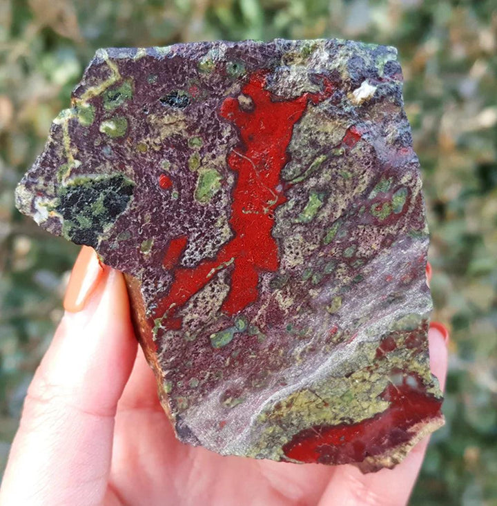 Polished Dragon Blood Jasper Crystal Slice with vibrant red and green patterns for grounding.