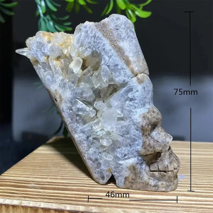 Druzy Agate Crystal Skull Carving-Carvings-Ali-Agate-171g 1-Crystal Destiny
