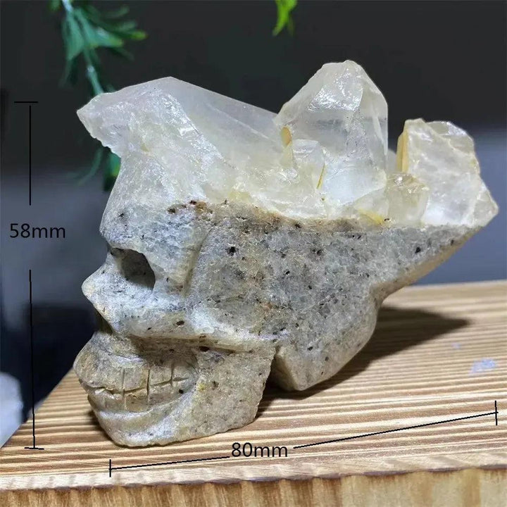 Druzy Agate Crystal Skull Carving