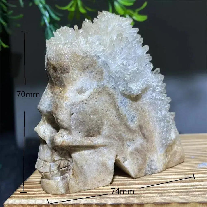 Druzy Agate Crystal Skull Carving