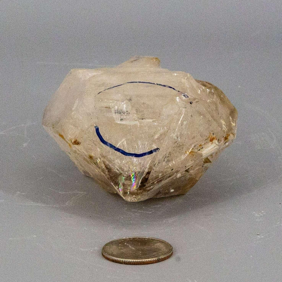 Rare Elestial Quartz Enhydro with two distinct bubbles (air and oil) beside a US quarter.