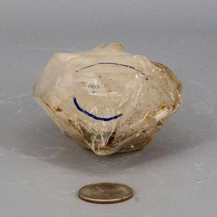 Rare Elestial Quartz Enhydro with two distinct bubbles (air and oil) beside a US quarter.