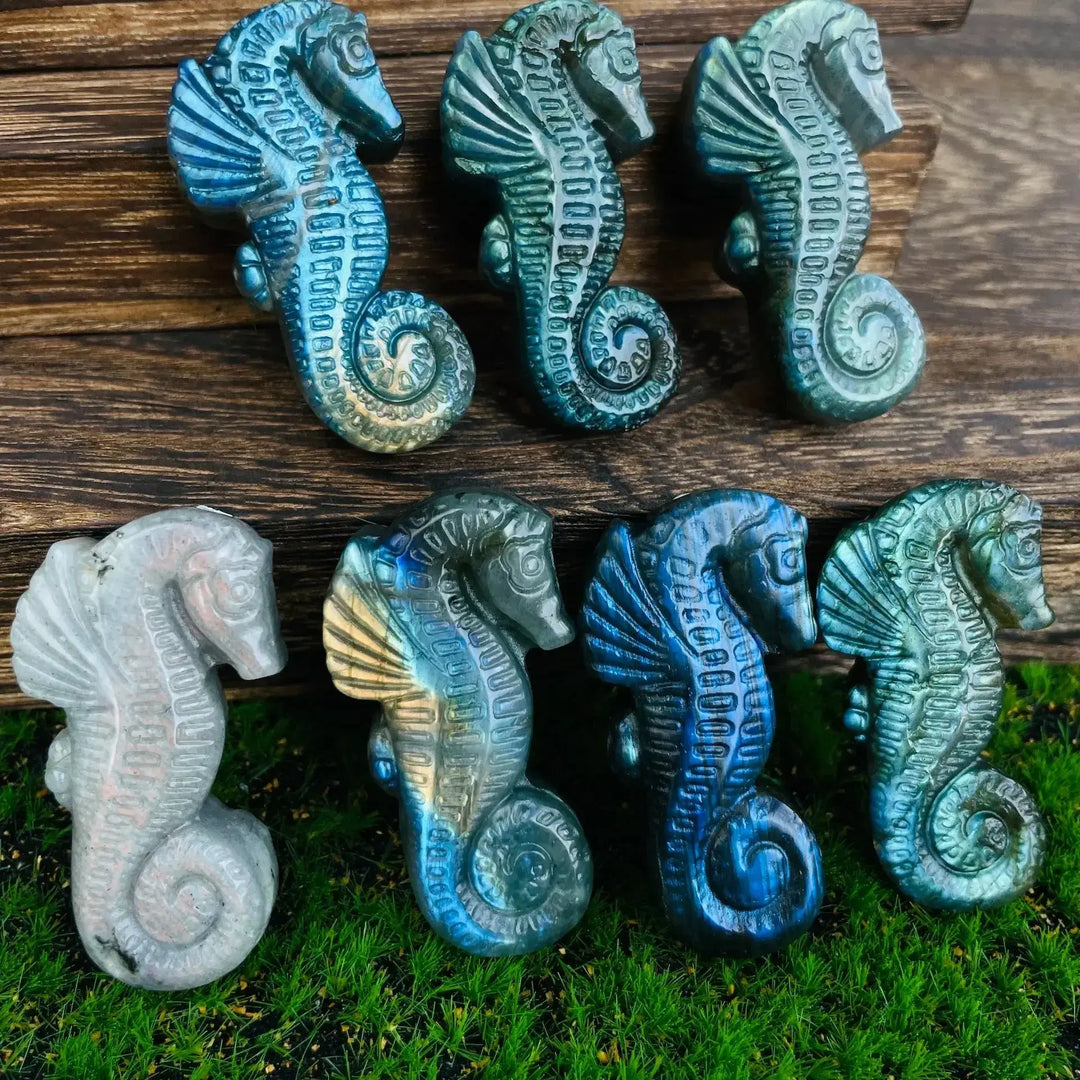Flashy Labradorite Animal Carvings-Carvings-Ali-Sea Horse-See Chart-Crystal Destiny