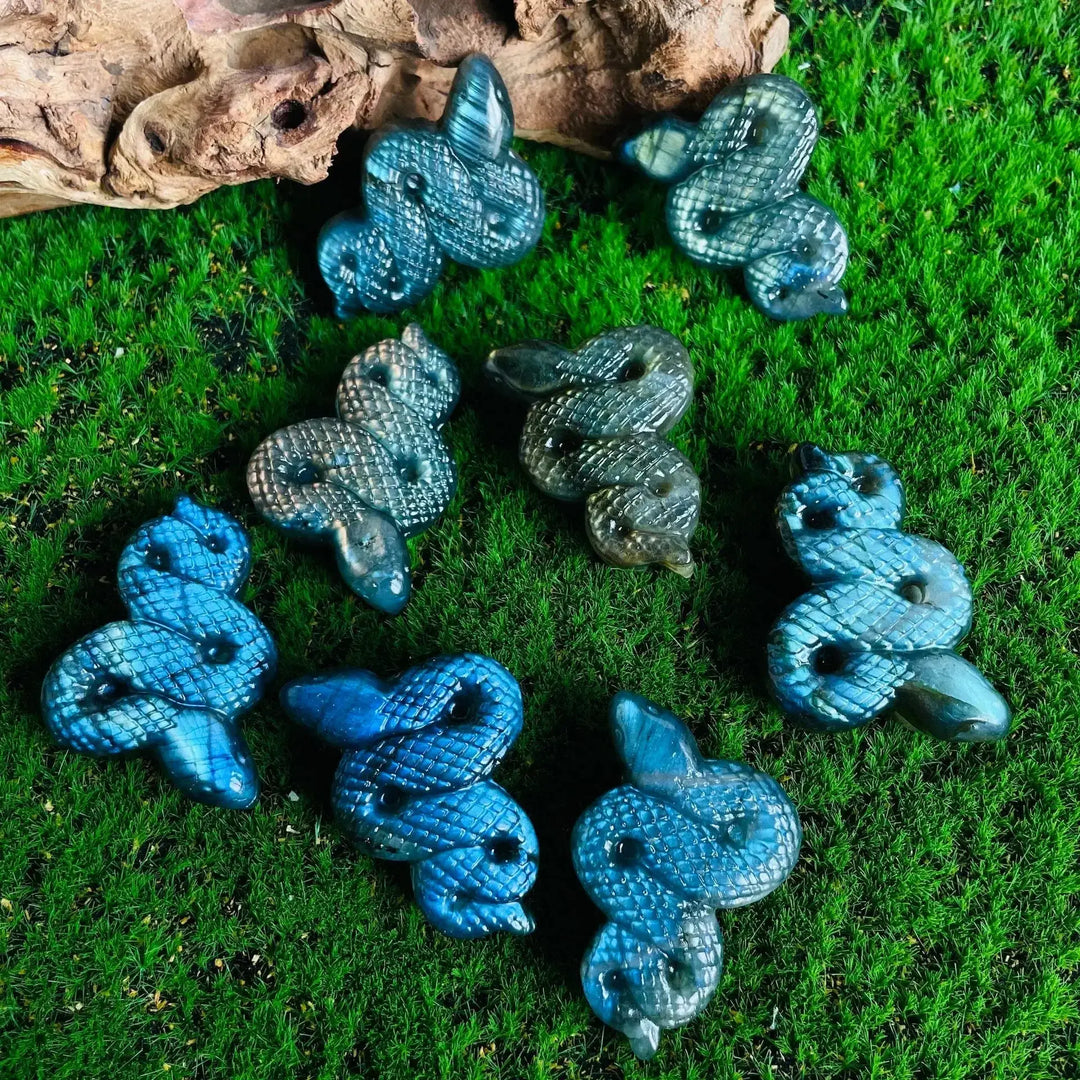 Flashy Labradorite Animal Carvings-Carvings-Ali-Snake-See Chart-Crystal Destiny