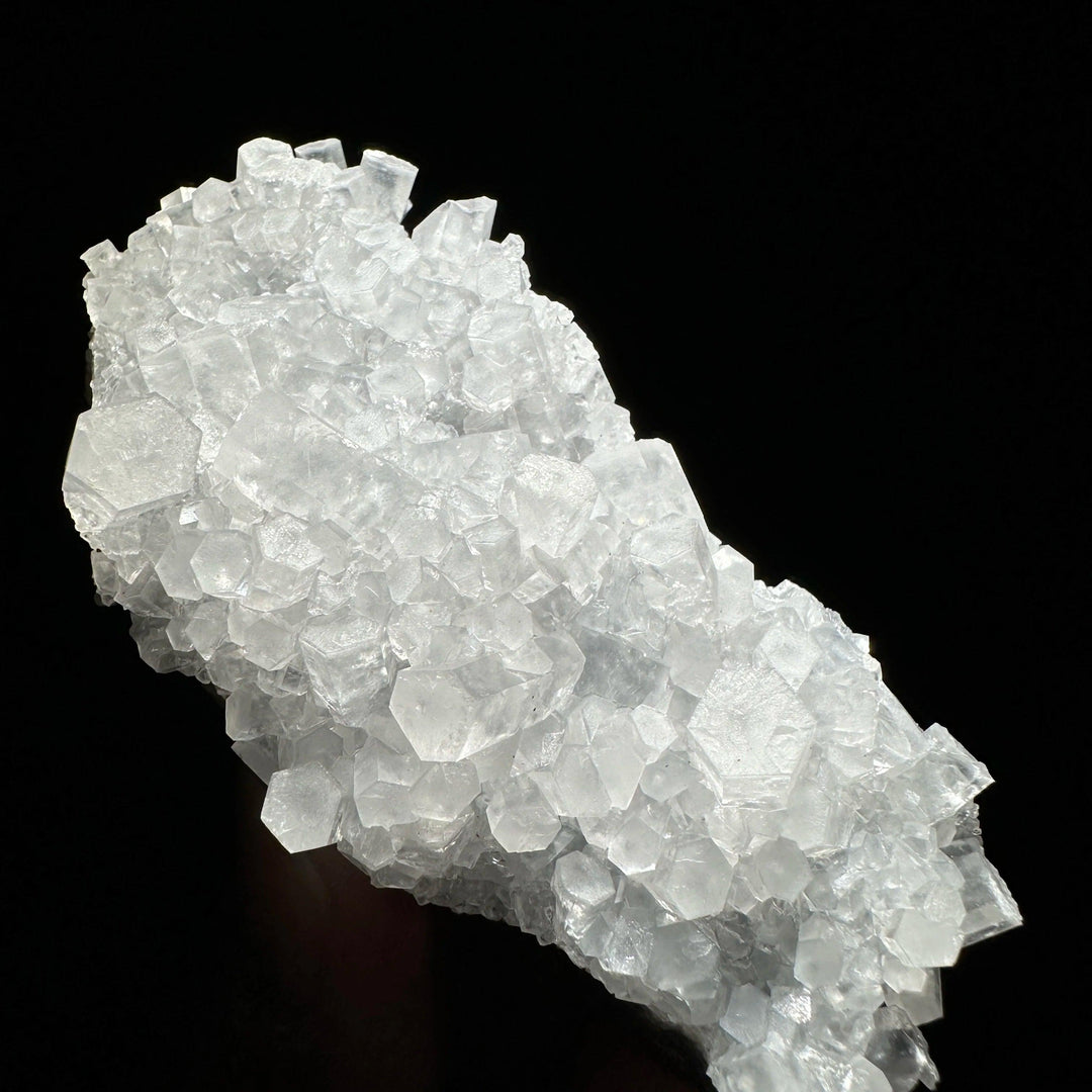 High transparent columnar calcite crystal cluster healing stone specimen on black background.
