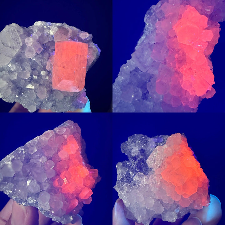 Fluorescent columnar calcite crystal cluster glowing vibrant pink under UV light for healing and decor.