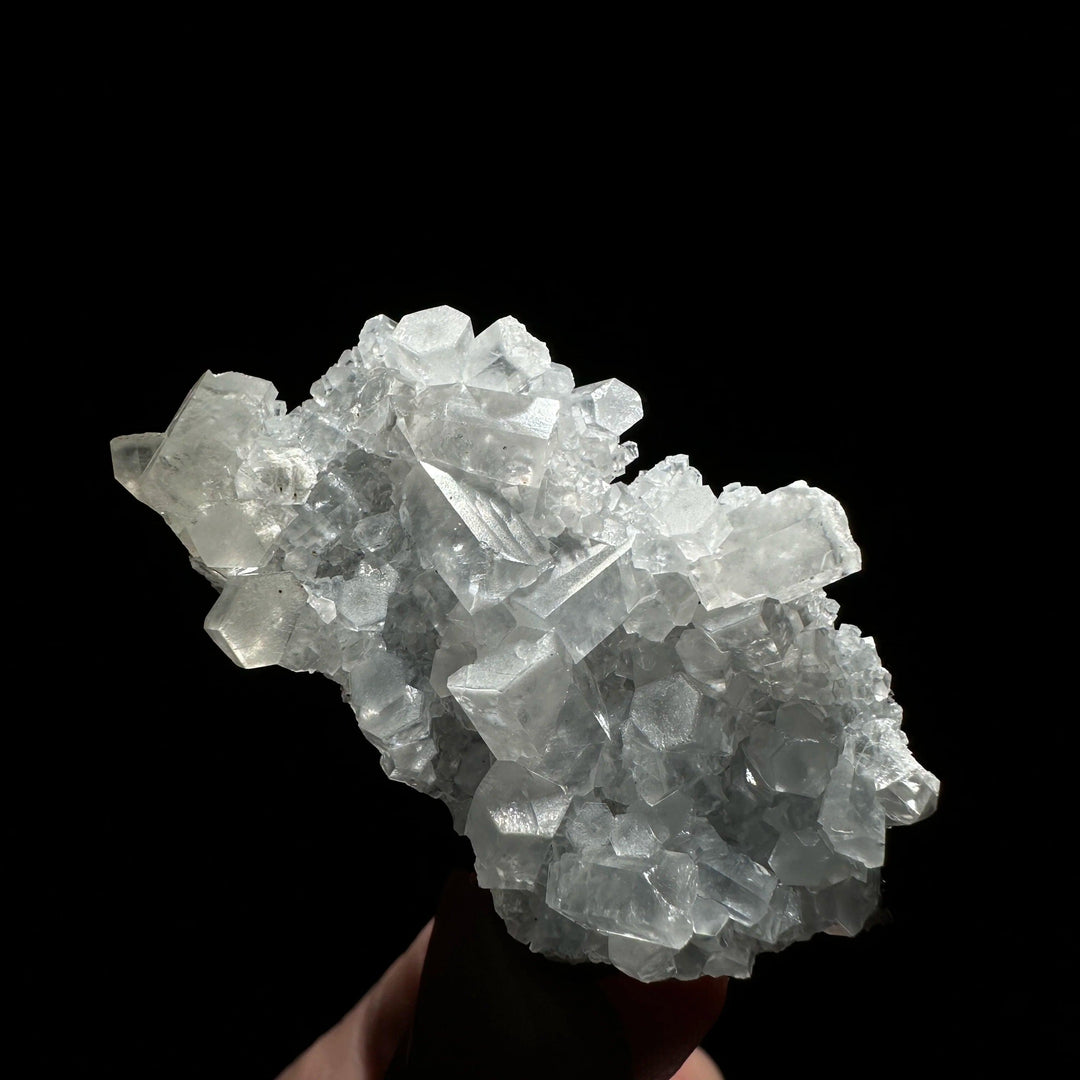 Transparent raw columnar calcite crystal cluster healing stone specimen on a black background.