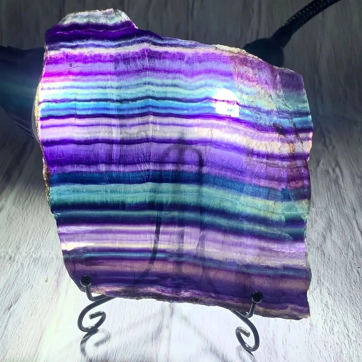 Vibrant Fluorite Crystal Slice from Crystal Destiny, displaying striking purple, green, and blue color bands for clarity and focus.