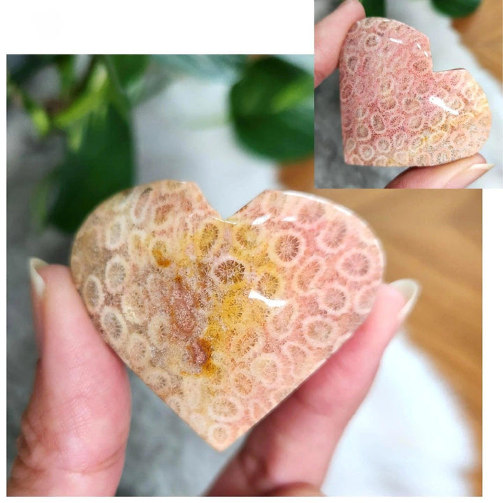 Polished Fossilized Coral Jade heart crystal with cream and terracotta patterns for heart chakra healing and grounding.