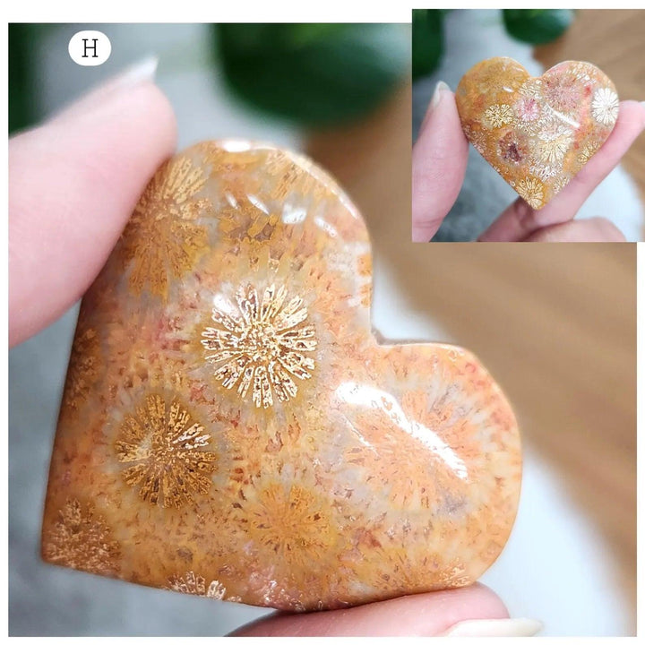 Polished fossilized coral jade heart with cream and terracotta floral patterns for heart chakra healing and grounding.