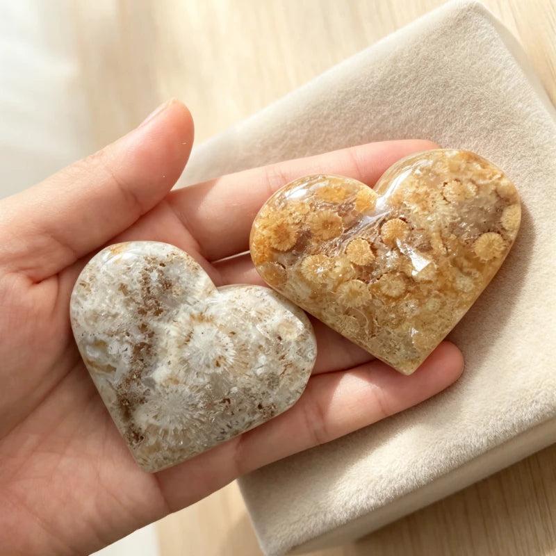 Two polished Fossilized Coral Jade hearts in cream and terracotta, showcasing ancient floral patterns for heart healing.