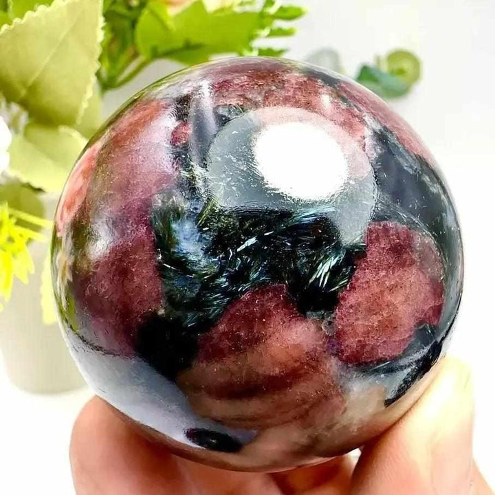 Polished Garnet Astrophyllite sphere featuring golden blades and deep red garnet for grounding and inner transformation.