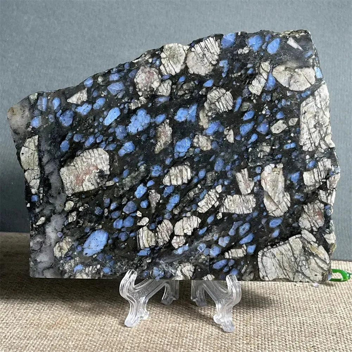 Polished Glaucophane slab from Crystal Destiny, featuring deep blue-gray and white patterns on a clear stand.
