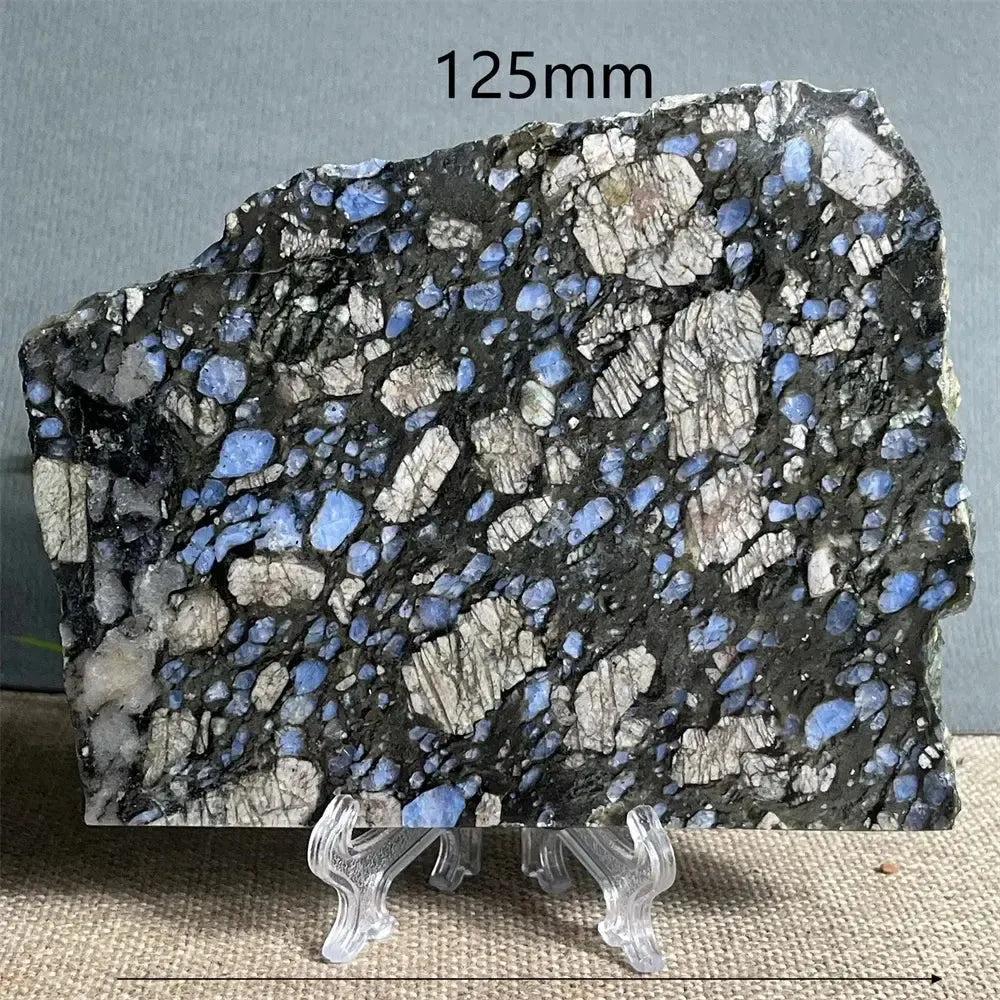Glaucophane slab from Crystal Destiny, featuring deep blue-gray crystals in a dark matrix, displayed on a clear stand.