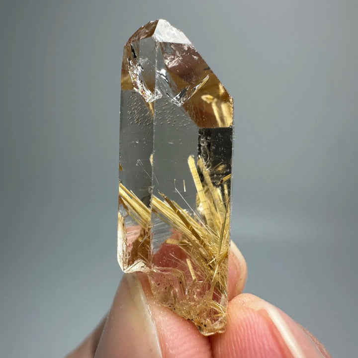 Natural Brazil Gold Rutilated Quartz crystal with golden hair-like inclusions, held against a grey background.