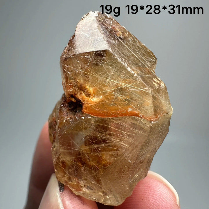 Natural Brazil Gold Rutilated Quartz crystal with specular hematite, showing golden needles and earthy tones.