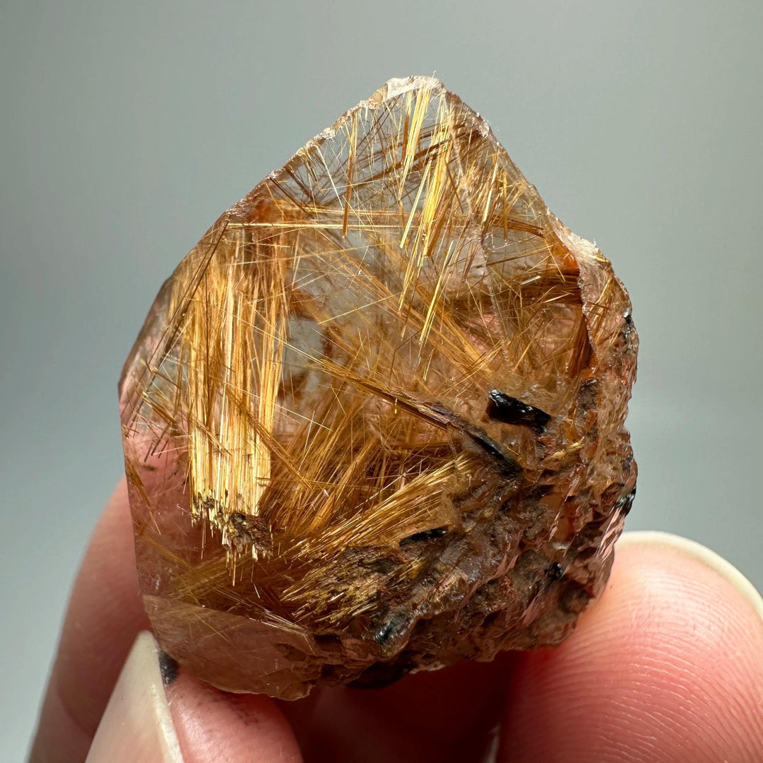 Natural Brazil Gold Rutilated Quartz crystal with golden hair-like inclusions and black specular hematite.