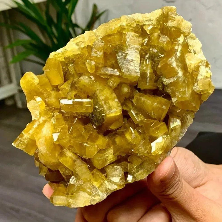 Radiant Golden Barite Crystal Cluster with warm honey-gold blades, perfect for abundance and spiritual insight.