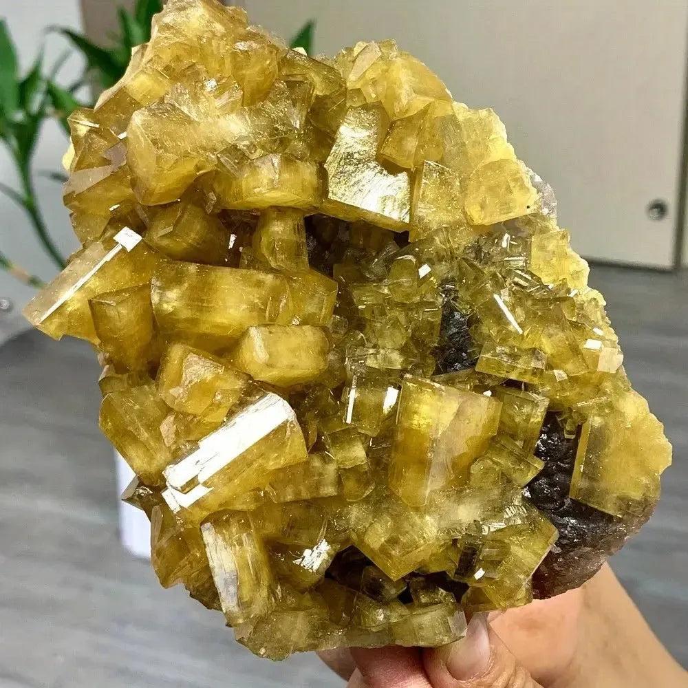 Radiant Golden Barite Crystal Cluster with warm honey-gold blades, enhancing abundance and spiritual insight.