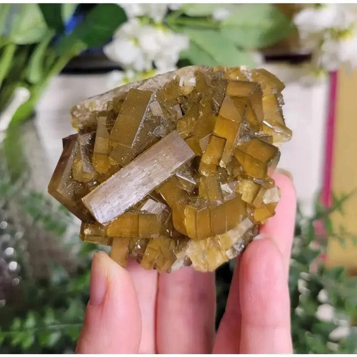 Radiant Golden Barite Crystal Cluster with warm honey-gold blades, enhancing abundance and spiritual insight.