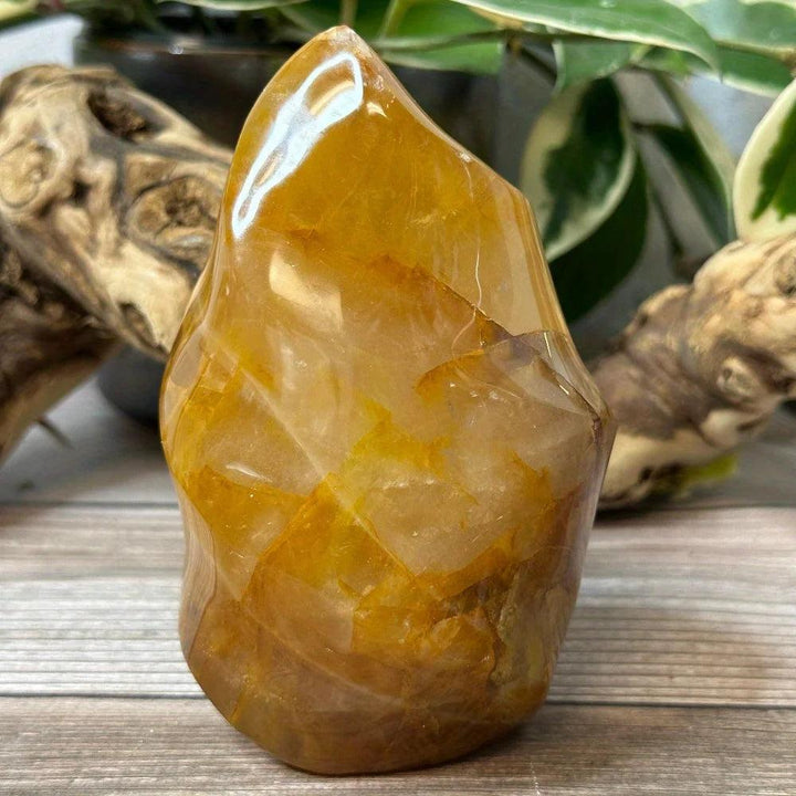 Golden Healer Quartz Crystal Carved Flame, radiating warm amber gold with glowing iron oxide inclusions.