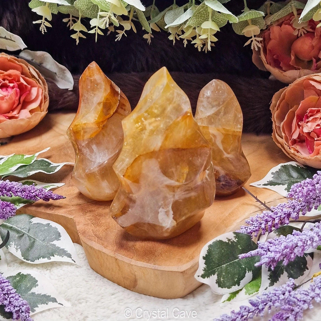 Three golden healer quartz crystal flames with amber gold hues on a wooden slab, surrounded by flowers.
