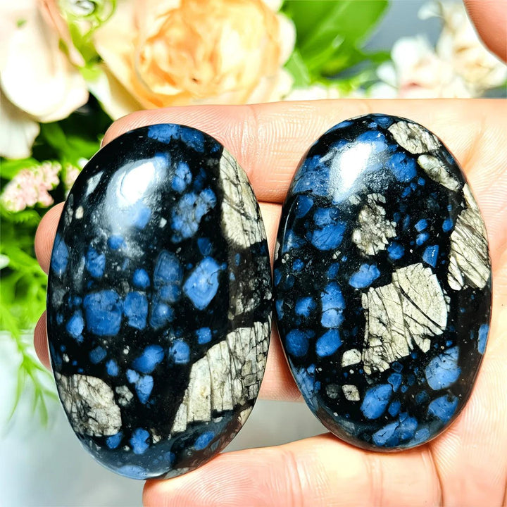 Two polished Quesera palm stones with vibrant blue spots and white veins, perfect for healing.
